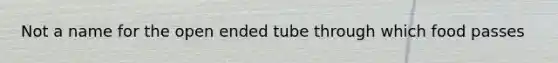 Not a name for the open ended tube through which food passes