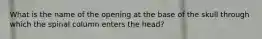 What is the name of the opening at the base of the skull through which the spinal column enters the head?