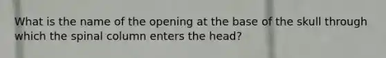 What is the name of the opening at the base of the skull through which the spinal column enters the head?