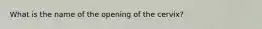 What is the name of the opening of the cervix?