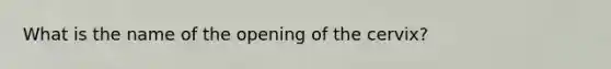 What is the name of the opening of the cervix?