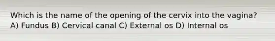 Which is the name of the opening of the cervix into the vagina? A) Fundus B) Cervical canal C) External os D) Internal os