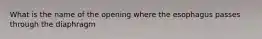 What is the name of the opening where the esophagus passes through the diaphragm