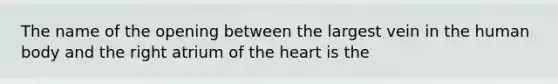 The name of the opening between the largest vein in the human body and the right atrium of the heart is the