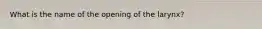 What is the name of the opening of the larynx?