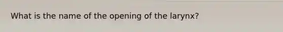 What is the name of the opening of the larynx?
