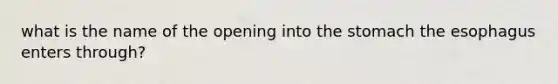 what is the name of the opening into the stomach the esophagus enters through?