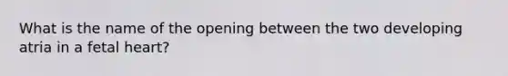 What is the name of the opening between the two developing atria in a fetal heart?