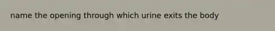 name the opening through which urine exits the body