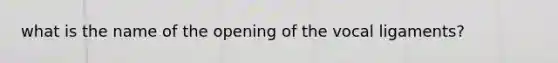 what is the name of the opening of the vocal ligaments?