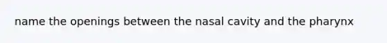 name the openings between the nasal cavity and <a href='https://www.questionai.com/knowledge/ktW97n6hGJ-the-pharynx' class='anchor-knowledge'>the pharynx</a>