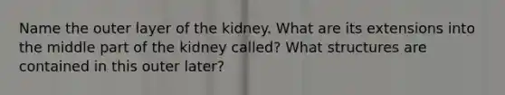 Name the outer layer of the kidney. What are its extensions into the middle part of the kidney called? What structures are contained in this outer later?