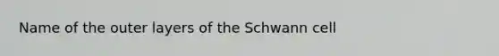 Name of the outer layers of the Schwann cell