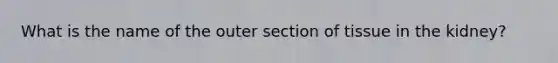 What is the name of the outer section of tissue in the kidney?