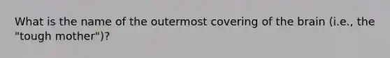 What is the name of the outermost covering of the brain (i.e., the "tough mother")?