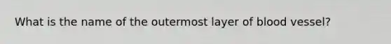 What is the name of the outermost layer of blood vessel?