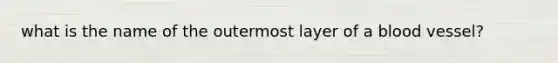 what is the name of the outermost layer of a blood vessel?