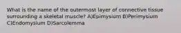 What is the name of the outermost layer of connective tissue surrounding a skeletal muscle? A)Epimysium B)Perimysium C)Endomysium D)Sarcolemma