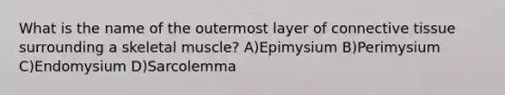 What is the name of the outermost layer of <a href='https://www.questionai.com/knowledge/kYDr0DHyc8-connective-tissue' class='anchor-knowledge'>connective tissue</a> surrounding a skeletal muscle? A)Epimysium B)Perimysium C)Endomysium D)Sarcolemma