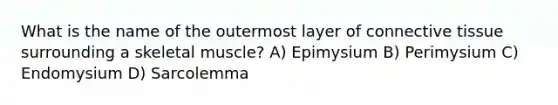 What is the name of the outermost layer of connective tissue surrounding a skeletal muscle? A) Epimysium B) Perimysium C) Endomysium D) Sarcolemma