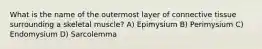 What is the name of the outermost layer of connective tissue surrounding a skeletal muscle? ​A) Epimysium​ ​B) Perimysium ​C) Endomysium ​D) Sarcolemma