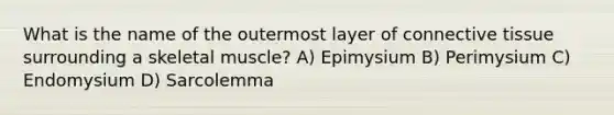 What is the name of the outermost layer of connective tissue surrounding a skeletal muscle? ​A) Epimysium​ ​B) Perimysium ​C) Endomysium ​D) Sarcolemma