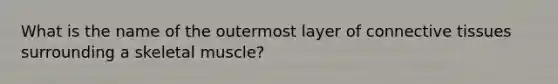 What is the name of the outermost layer of connective tissues surrounding a skeletal muscle?