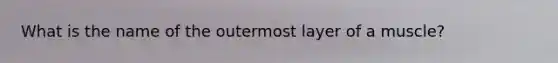 What is the name of the outermost layer of a muscle?