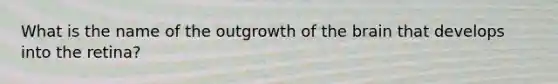 What is the name of the outgrowth of the brain that develops into the retina?