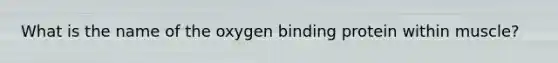 What is the name of the oxygen binding protein within muscle?