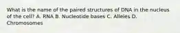 What is the name of the paired structures of DNA in the nucleus of the cell? A. RNA B. Nucleotide bases C. Alleles D. Chromosomes