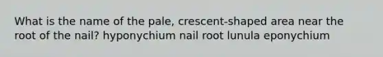 What is the name of the pale, crescent-shaped area near the root of the nail? hyponychium nail root lunula eponychium