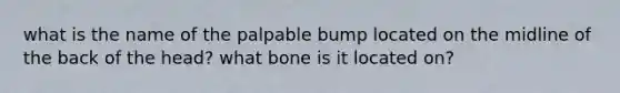 what is the name of the palpable bump located on the midline of the back of the head? what bone is it located on?