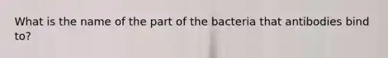 What is the name of the part of the bacteria that antibodies bind to?