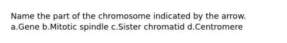 Name the part of the chromosome indicated by the arrow. a.Gene b.Mitotic spindle c.Sister chromatid d.Centromere