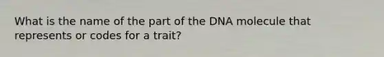 What is the name of the part of the DNA molecule that represents or codes for a trait?