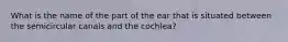 What is the name of the part of the ear that is situated between the semicircular canals and the cochlea?