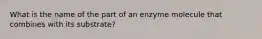 What is the name of the part of an enzyme molecule that combines with its substrate?