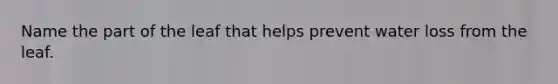 Name the part of the leaf that helps prevent water loss from the leaf.