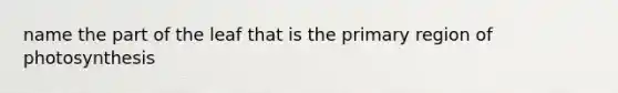 name the part of the leaf that is the primary region of photosynthesis