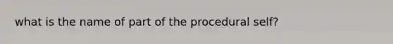 what is the name of part of the procedural self?