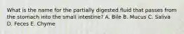 What is the name for the partially digested fluid that passes from the stomach into the small intestine? A. Bile B. Mucus C. Saliva D. Feces E. Chyme