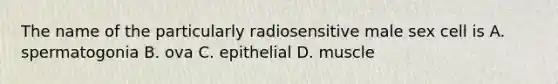 The name of the particularly radiosensitive male sex cell is A. spermatogonia B. ova C. epithelial D. muscle