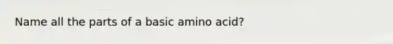 Name all the parts of a basic amino acid?