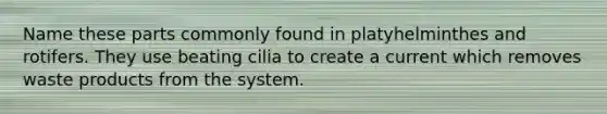 Name these parts commonly found in platyhelminthes and rotifers. They use beating cilia to create a current which removes waste products from the system.