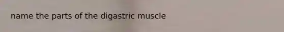 name the parts of the digastric muscle