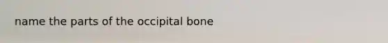 name the parts of the occipital bone