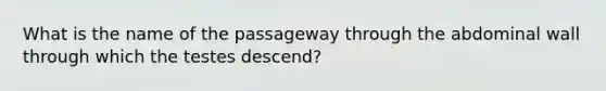 What is the name of the passageway through the abdominal wall through which the testes descend?