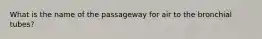 What is the name of the passageway for air to the bronchial tubes?