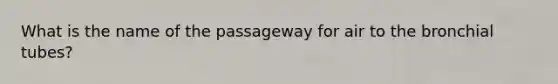 What is the name of the passageway for air to the bronchial tubes?